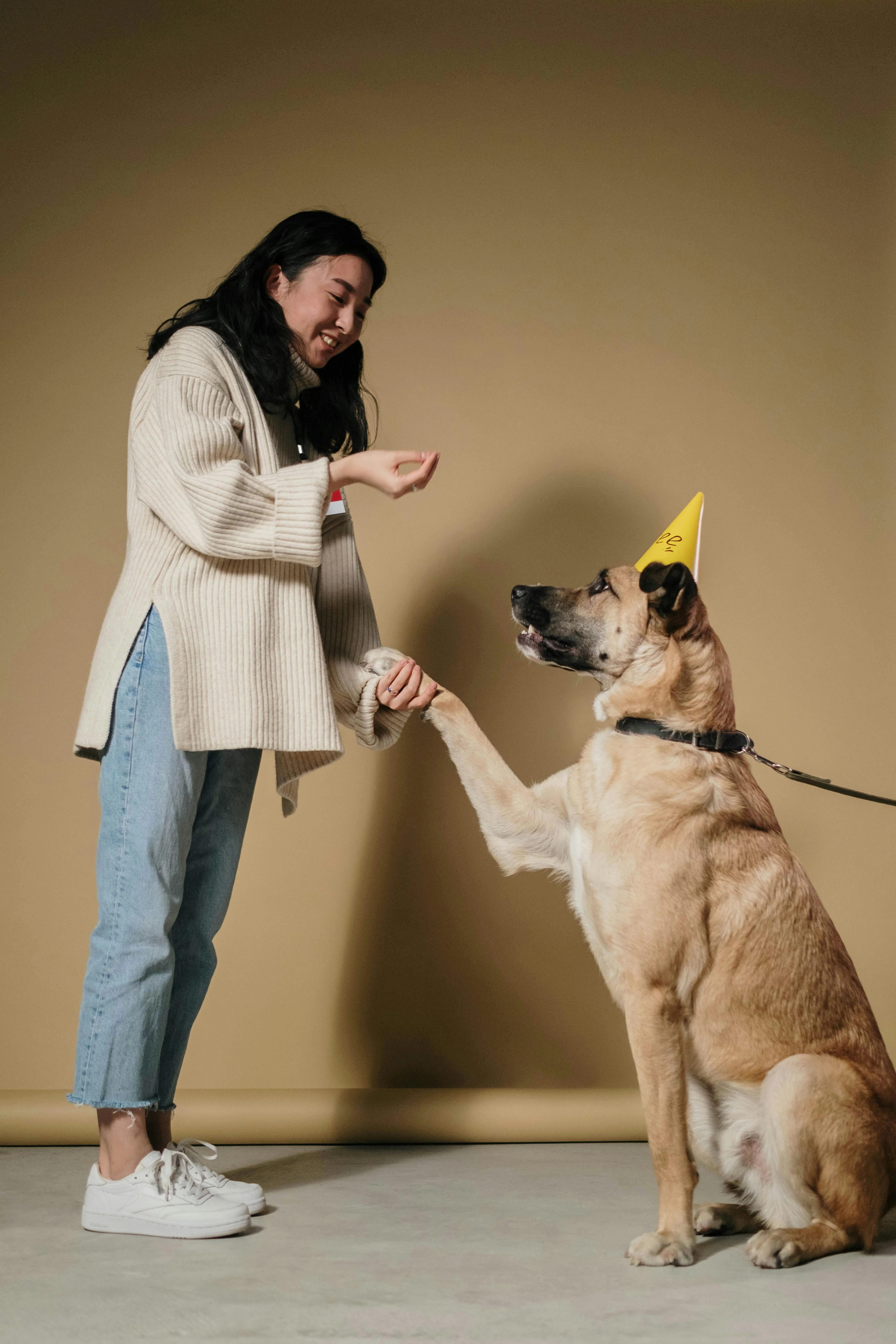 Happy dog owner giving high five to trained dog, celebrating milestone