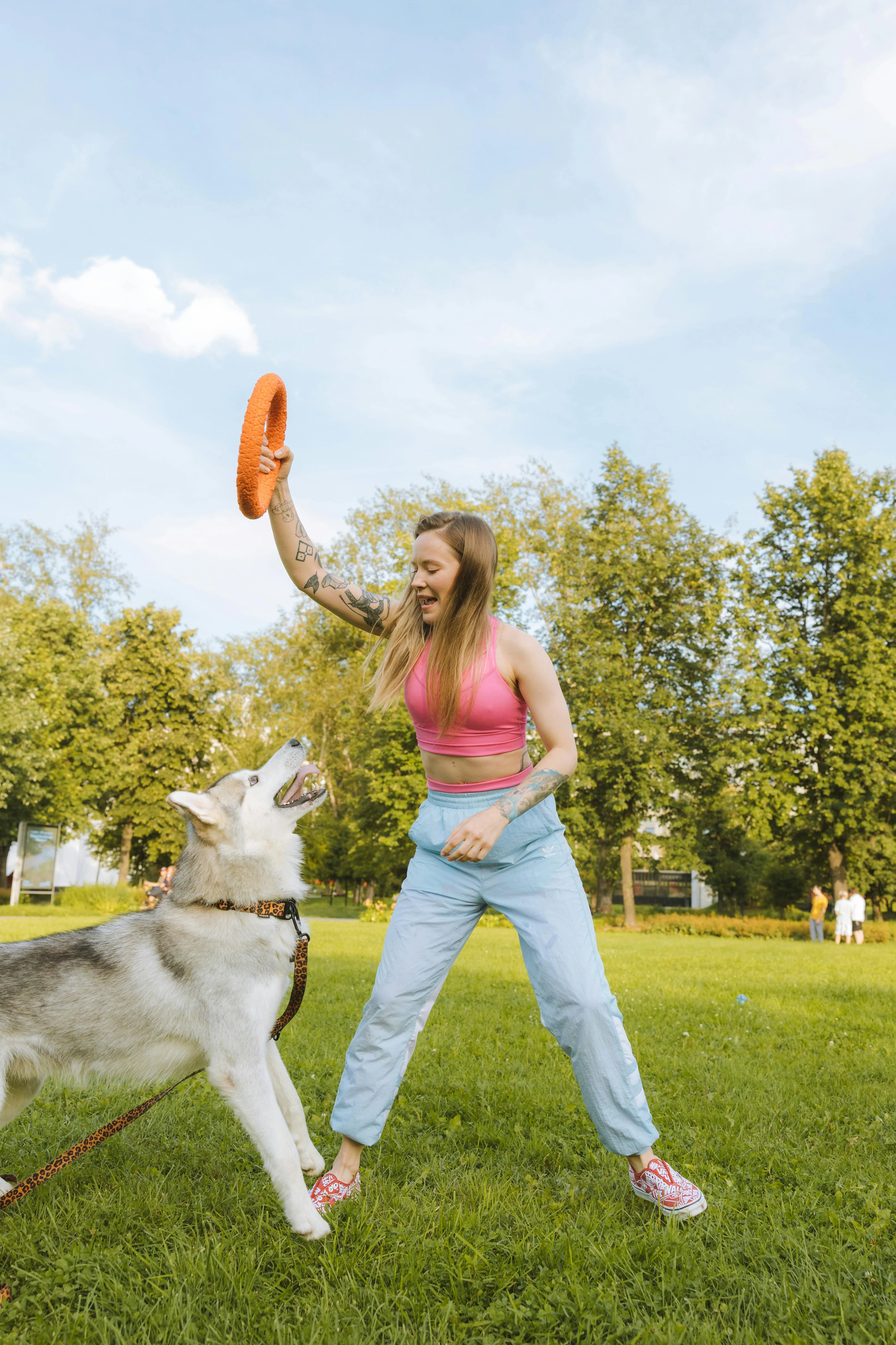 Dog trainer working with husky in a park setting